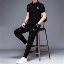 轻奢高端冰丝套装男春夏季成熟潮流休闲男士中老年短袖运动服上衣，男装休闲套装，电商B212（原钱塘6029）