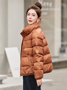 现货！优雅气质立领羽绒服女短款小个子时尚显瘦保暖大气刺绣上衣图片