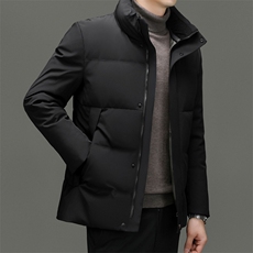 DF2380钱塘2020-2冬季新款厚款时尚休闲立领中年男士羽绒服P275，男装羽绒服，钱塘207-2