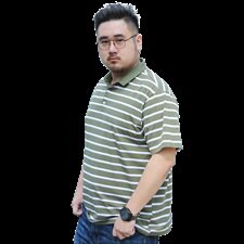 夏季新款棉短袖T恤男士翻领条纹polo衫休闲男装加肥大码5932款，男装T恤，星座802