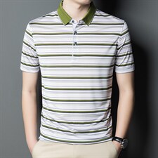 POLO衫男上衣半袖男装衣服男士体恤衫T恤潮牌休闲翻领爸爸短袖男，男装T恤，电商B212（原钱塘6029）