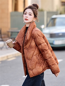 现货！复古新中式刺绣羽绒服女无帽立领设计感短款保暖白鸭绒上衣图片