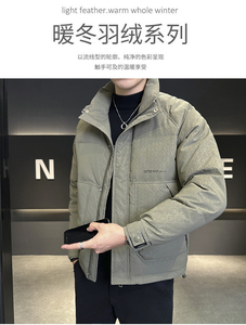 2025冬季DS-A225标新款男士立领白鸭绒羽绒服夹克885506-P150图片