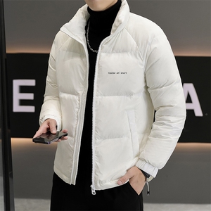 冬季轻薄保暖男士外套轻奢休闲英伦 白鸭绒羽绒服男Y1238-P120图片