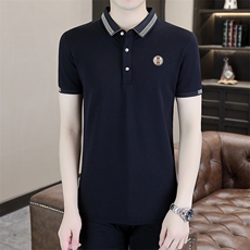 商务休闲男装夏季新款短袖T恤polo衫中年翻领薄款半袖体恤男上装，男装T恤，电商B212（原钱塘6029）