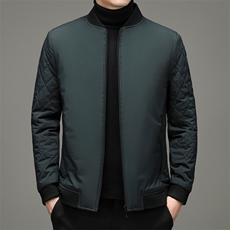 立领纯色棉衣男2023冬季中年男休闲棉服爸爸冬装外套YYM8615-P205，男装棉衣，电商B212（原钱塘6029）