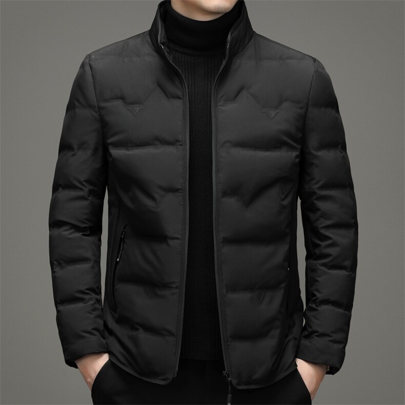 AN9877钱塘2020-3秋冬新款中年男士立领休闲简约羽绒服外套P142,男装羽绒服,钱塘207-3