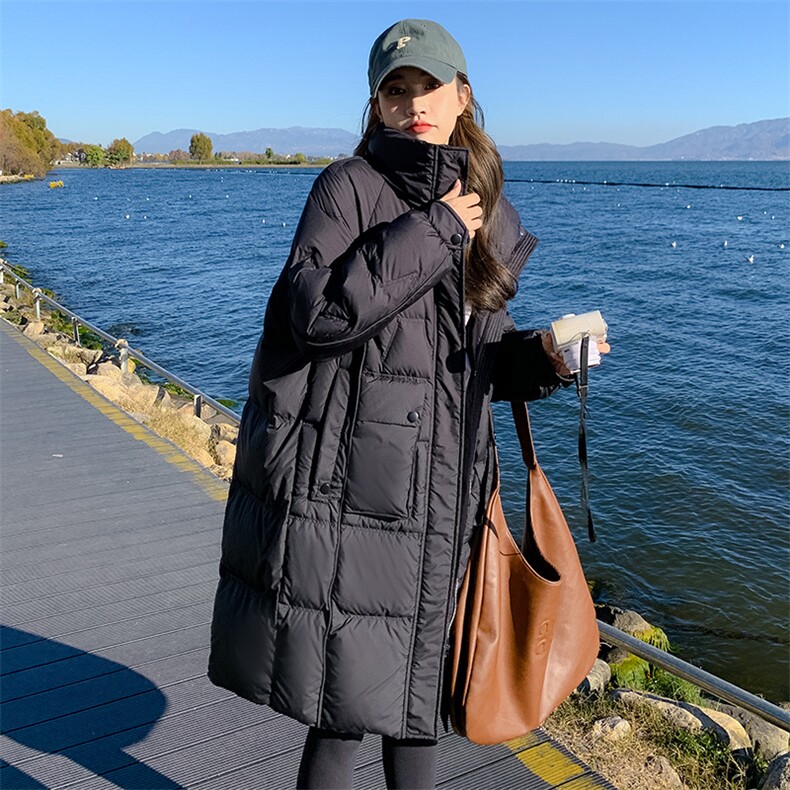 立领羽绒服女中长款2022年冬季新款经典时尚气质百搭连帽保暖外套,女装羽绒服,辉之琳