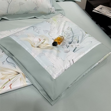 新款A类凉感水洗冰丝单夏被，被套/被芯，一起卖家纺