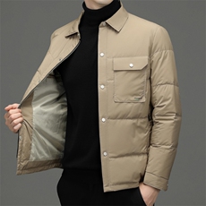 BW8626钱塘2020-2中年男士时尚休闲简约百搭冬季厚款羽绒服P200，男装羽绒服，钱塘207-2
