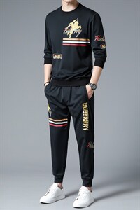 SXL9625秋季2023年新款男士长袖长裤修身休闲时尚卫衣套装P155图片