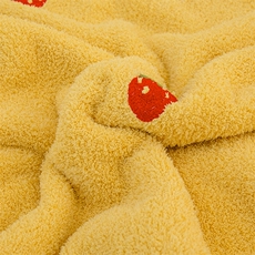 新款高克重亲肤高端泰迪绒四季多功能毯加厚牛奶绒毛毯毯子，毯子，一起卖家纺