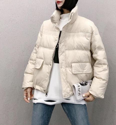 DG851韩版新款时尚立领保暖百分百羽绒服,女装羽绒服,L·H·X