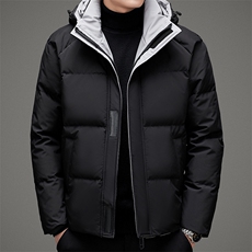 DAy9902钱塘2020-3冬季加厚时尚休闲连帽高品质羽绒服P215，男装羽绒服，钱塘207-3