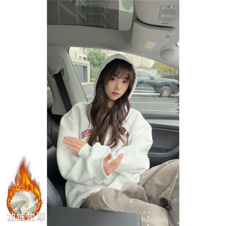 WY10191-特P55 加绒特P60美式重磅刺绣连帽帽卫衣大码套头上衣图片