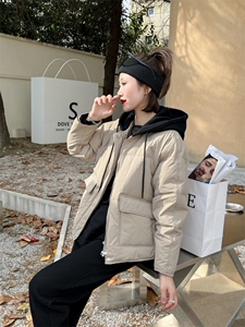 冬季新款欧韩羽绒服派克图片