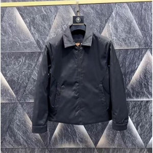 (网图)翻领夹克外套棉服百搭高级感舒适轻奢外套313B-JK5623-P100图片