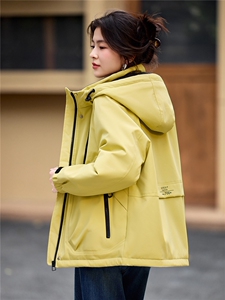 2025年冬季派克服宽松连帽加绒加厚棉服外套冲锋衣图片