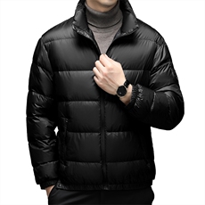 QDA2048钱塘2020-2中年男士冬季厚款简约立领新款百搭羽绒服P180，男装羽绒服，钱塘207-2