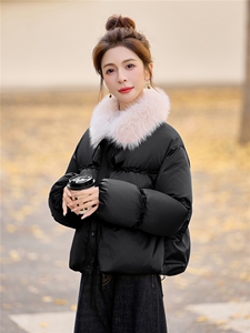 常规新中式G风羽绒服女2025冬新款今年流行独特漂亮短款圣诞红色图片
