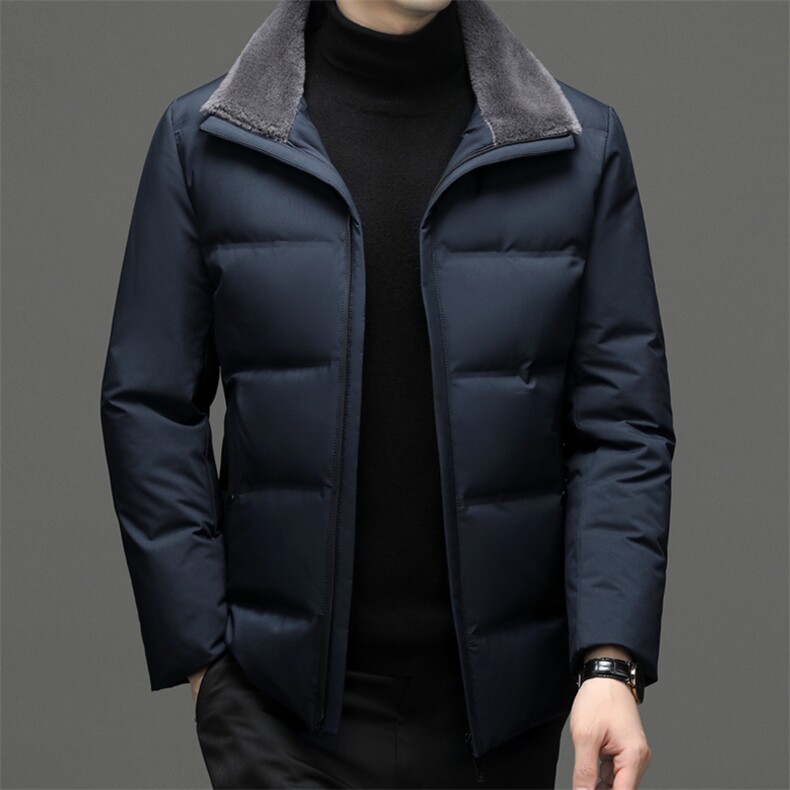 冬季新款新款立领御寒男士羽绒服中年休闲男装上衣厚款保暖外套图片