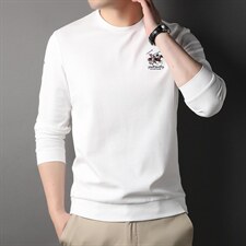 D66209钱塘2020-2中青年男士春秋新款百搭时尚长袖T恤货稳P62，男装T恤，钱塘207-2