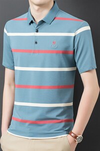 2023夏季新款中青年男士翻领条纹POLO上衣宽松打底衫男装休闲体恤图片