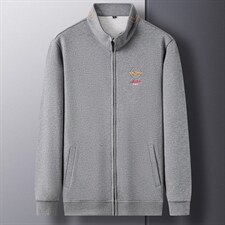 D66253钱塘2020-2中青年男士长袖薄款时尚潮流卫衣主推款P80，男装卫衣，钱塘207-2