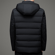 DZ119钱塘2020-3冬季厚款商务休闲简约有帽中年男士羽绒服P210，男装羽绒服，钱塘207-3