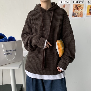 20秋冬港风连帽针织衫毛线衣中性情侣学生百搭打底外套潮W01/P70