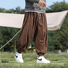 2025新款松紧腰束脚灯笼裤男秋季风灯芯绒阔腿休闲裤子WK18，男装休闲裤，星座219