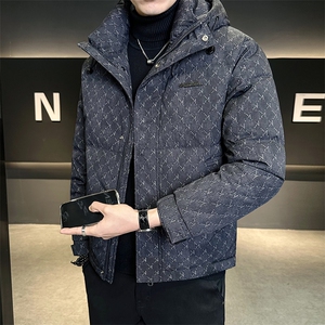 大货标50灰鸭绒男装羽绒服C317-Y6880-P225298图片