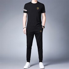 夏季时尚休闲运动套装男中年高端潮流帅气印花短袖长裤两件套，男装休闲套装，电商B212（原钱塘6029）