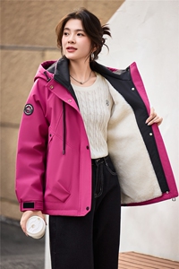 2025年冬季派克服宽松连帽加绒加厚棉服外套冲锋衣图片
