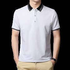 POLO衫男上衣半袖男装衣服男士体恤衫T恤潮牌休闲翻领爸爸短袖男，男装T恤，电商B212（原钱塘6029）