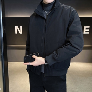 标90绒 立领男士羽绒服冬季2025新款休闲外套 A313-26021-P245图片