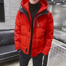 工装棉衣男韩版潮流连帽棉服棉袄帅气冬季短款外套DS310T，男装棉衣，电商A102