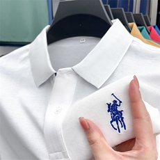 男士纯短袖T恤保罗polo衫2023夏季新款中年休闲男装翻领体恤衫，男装Polo衫，电商B212（原钱塘6029）