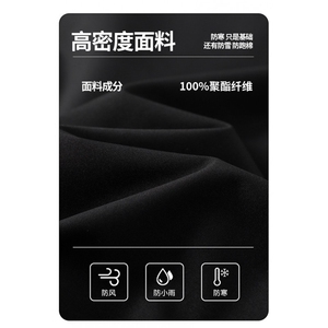 高街防风Cityboy冬季加厚百搭棉衣棉服保暖外套 HY2999-P75控129图片