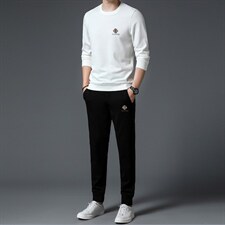 S3076-2钱塘2020-2时尚休闲百搭帅气潮流中青年男士长袖卫衣P142，男装休闲套装，钱塘207-2