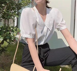 夏季新款公主领衬衣图片
