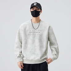 现货数据2025新款秋季套头卫衣男新工艺B240-WY988010-P65，男装卫衣，电商B240