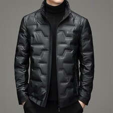 冬季新款灰鹅绒立领羽绒服纯色加厚羽绒服爸爸装YYYR21151-P290，男装羽绒服，电商B212（原钱塘6029）
