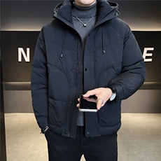 标50绒加厚款羽绒服男冬季2025新款连帽外套A313-66060-P235，男装羽绒服，电商A313