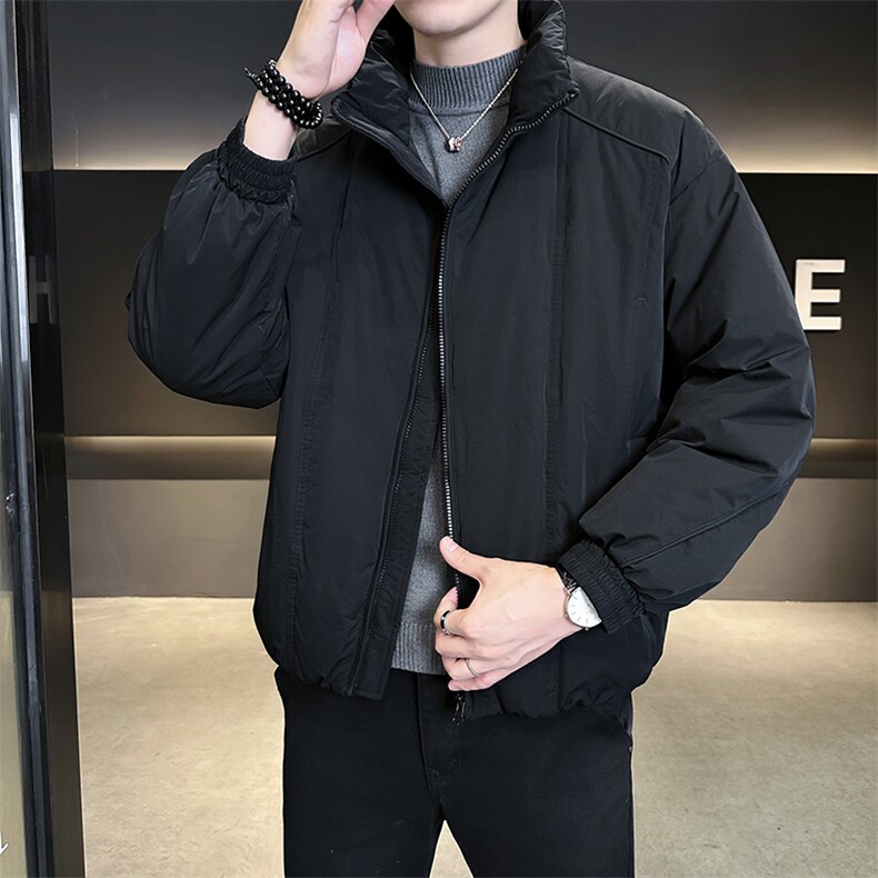 90新标2025冬立领加厚外套简约休闲短款设计款羽绒服Z9558-P295,男装羽绒服,电商A413
