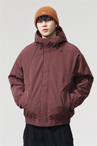 夹棉2025秋冬新款连帽工装夹克男户外登山服棉服图片