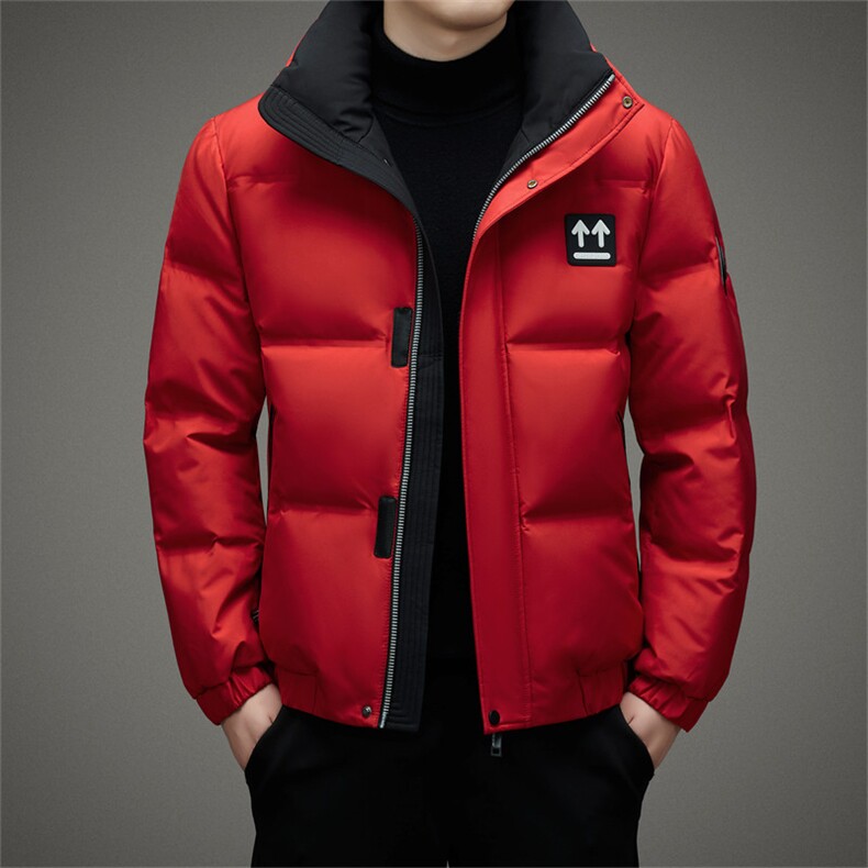 DJ2250钱塘2020-3冬季厚款时尚休闲百搭中年男士羽绒服P273,男装羽绒服,钱塘207-3