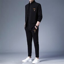 男士运动套装春秋季中年高端休闲潮流男装时尚卫衣跑步服三件套男，男装休闲套装，电商B212（原钱塘6029）