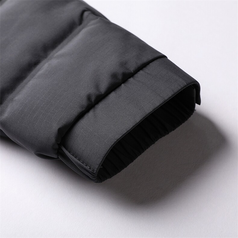 DW21120冬季男士羽绒服外套男装立领修身白鸭绒潮流帅气P229,男装羽绒服,电商B360