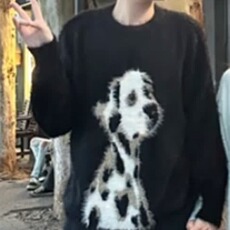 美式复古仿貂绒2025狗狗圆领针织开衫外套女新款毛茸茸绒绒毛衣，男装针织衫/毛衣，星座601-1